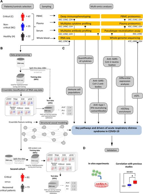 深入解析 VAM 1.9.8 汉化版最新更新内容及其影响