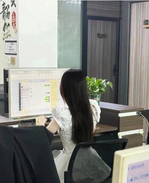 寻找“公司的女孩”：下载的途径与深度分析