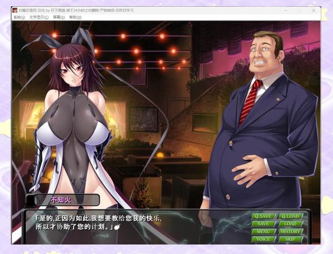 对魔忍雪风：深度解析与游戏体验