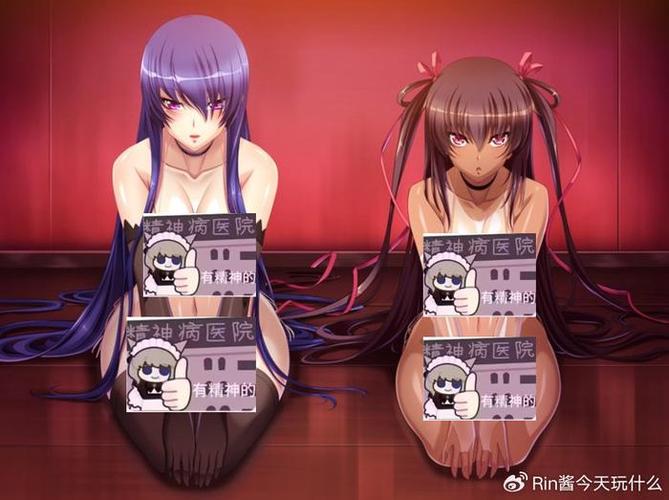 对魔忍雪风：深度解析与游戏体验