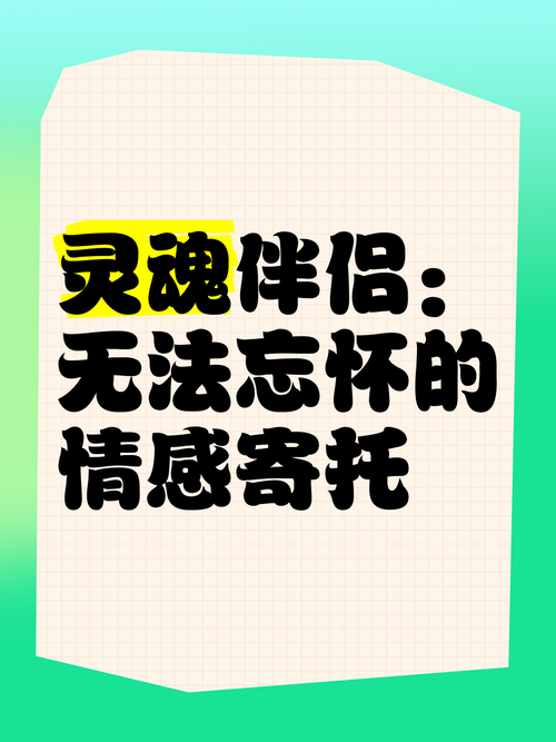 灵魂伴侣官方网站：深度分析与用户体验的完美结合