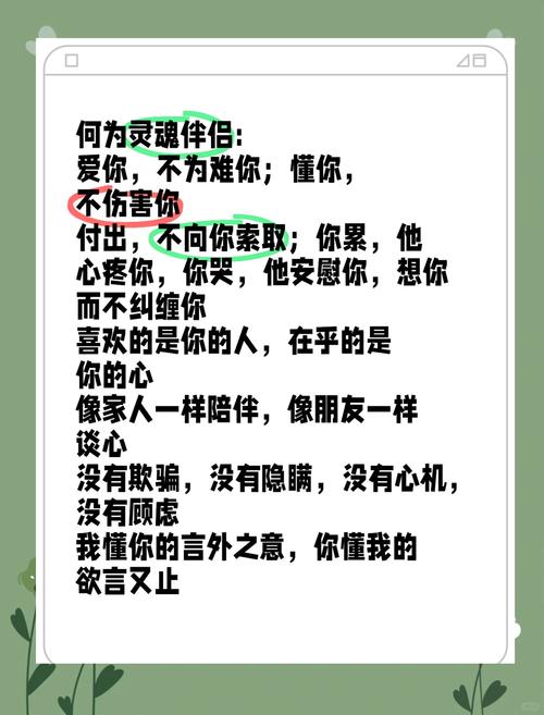 灵魂伴侣官方网站：深度分析与用户体验的完美结合