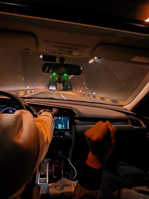 新手必看：夜间司机官网使用教程