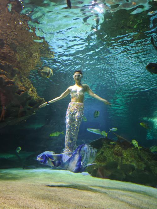 深入探索木里人鱼：全面游戏攻略指南