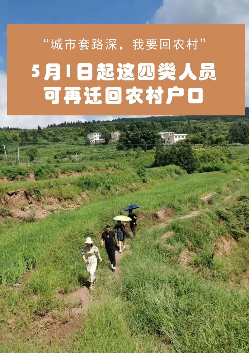 深入探讨“返回农村2”官网背后的游戏设计与市场潜力