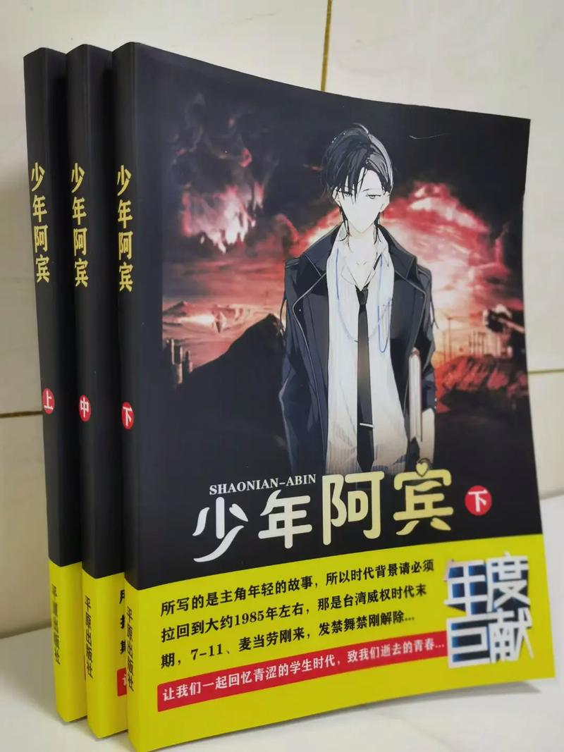 少年阿宾小说下载途径分析及资源整合