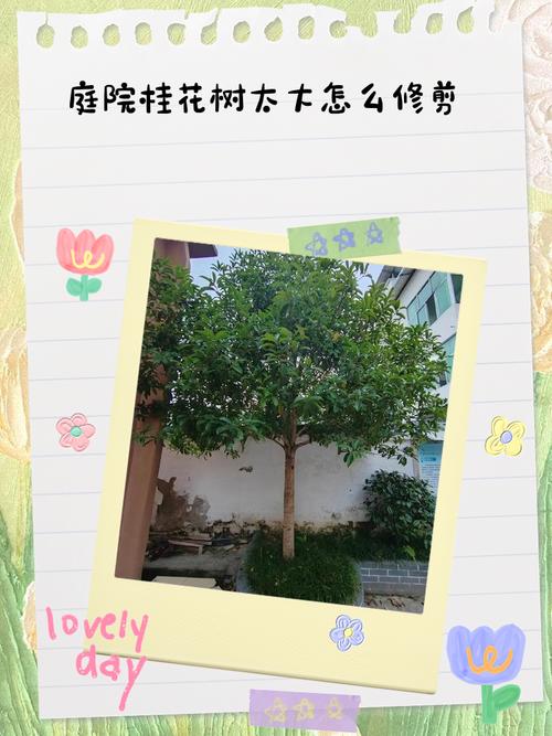 如何有效使用庭树沐年官网进行游戏资源获取