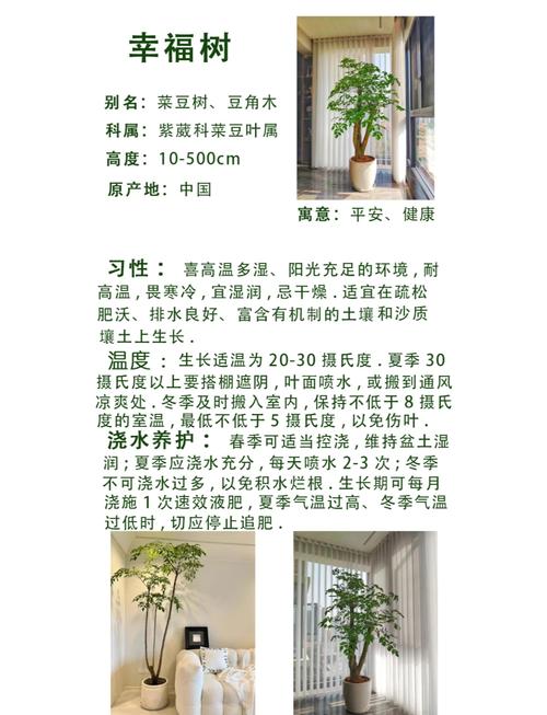 如何有效使用庭树沐年官网进行游戏资源获取
