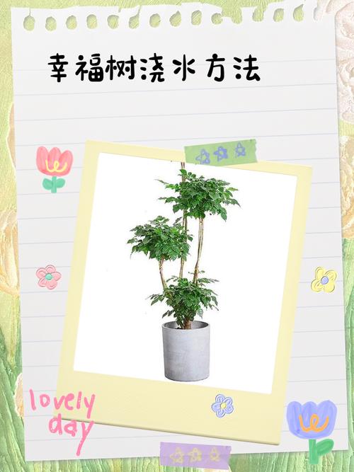 如何有效使用庭树沐年官网进行游戏资源获取