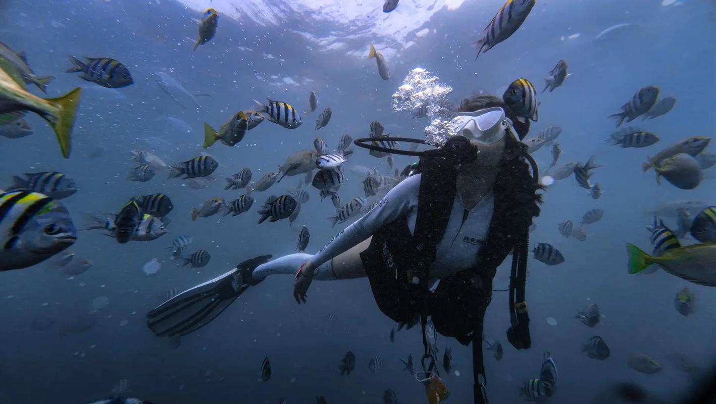 探索最后绿洲官网的潜力：深度分析与未来展望