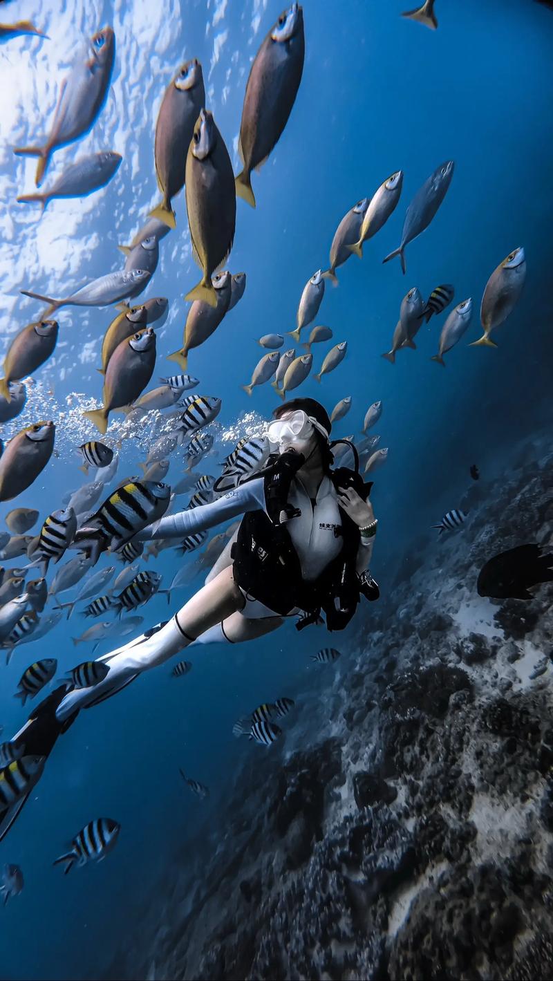 探索最后绿洲官网的潜力：深度分析与未来展望