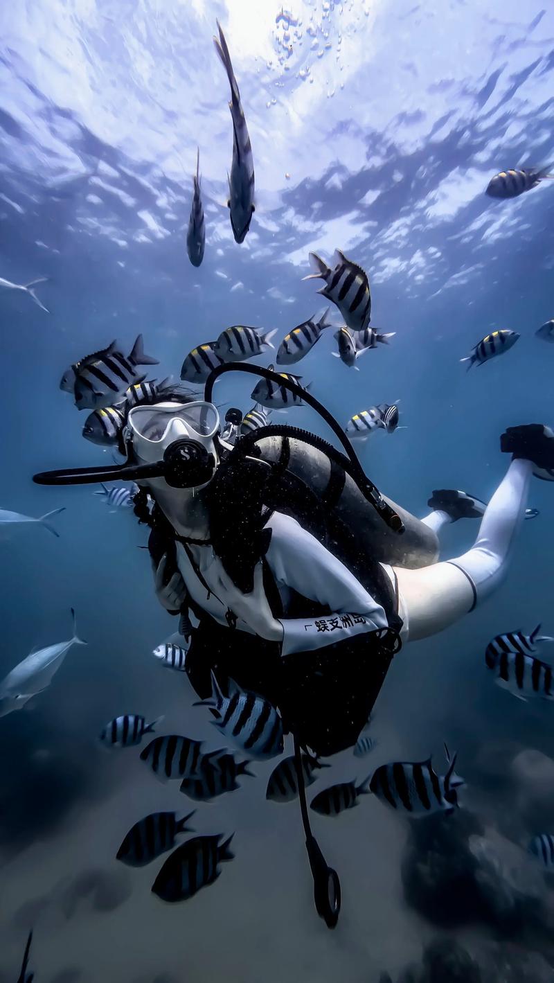 探索最后绿洲官网的潜力：深度分析与未来展望