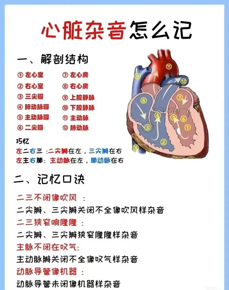 心脏问题最新版本教程：全面解析与操作指南