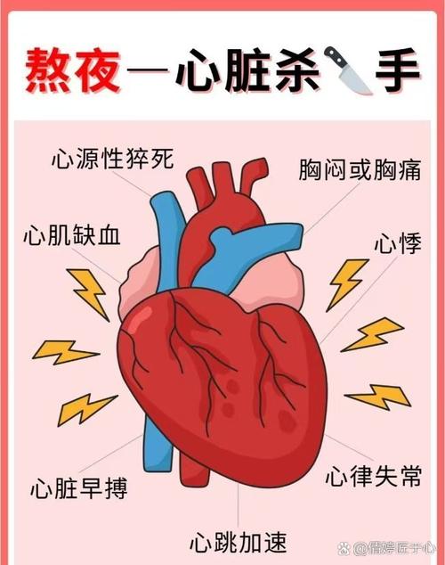 心脏问题最新版本教程：全面解析与操作指南