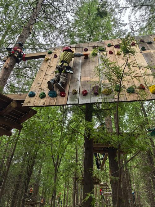 探索《任性旅人的家园》:下载地址与游戏深度分析