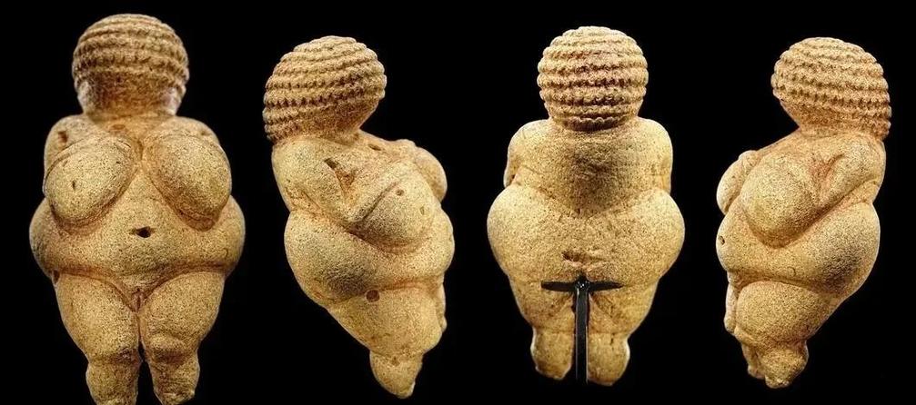 深度剖析维纳斯璀璨假期官方网站的独特魅力与市场潜力