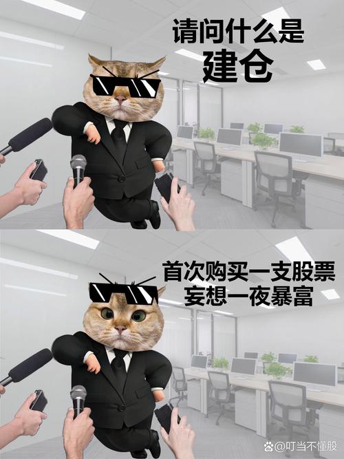 玩转“我不是领导者”：一站式游戏教程