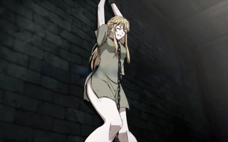 深入解析《魔城的姬骑士汉化版下载》的魅力与机制