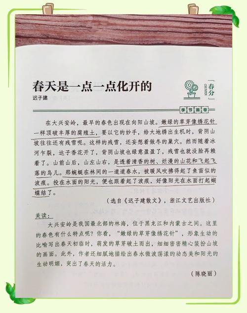 如何高效访问诗酱的春天官方网站:实用教程