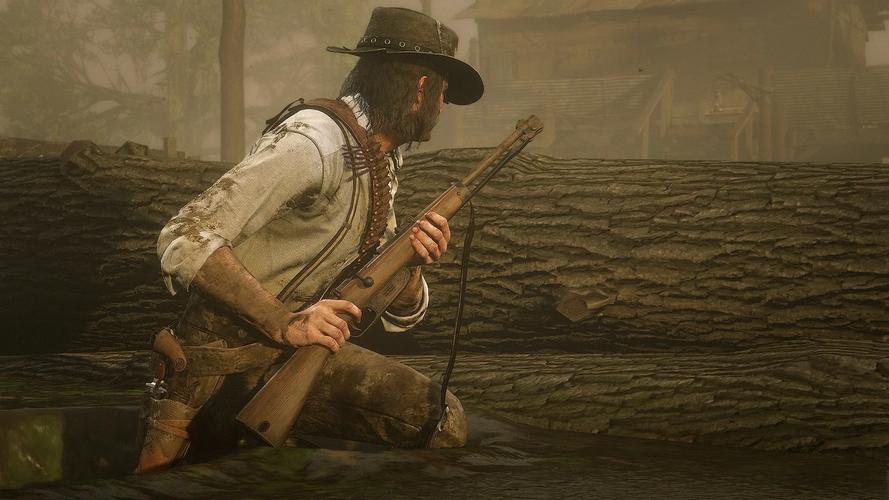 探索荒野大嫖客MOD的绅士游戏潜力