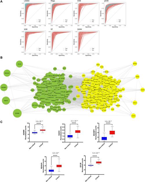 深入解析:MazeCave的最新版本及其对玩家体验的影响
