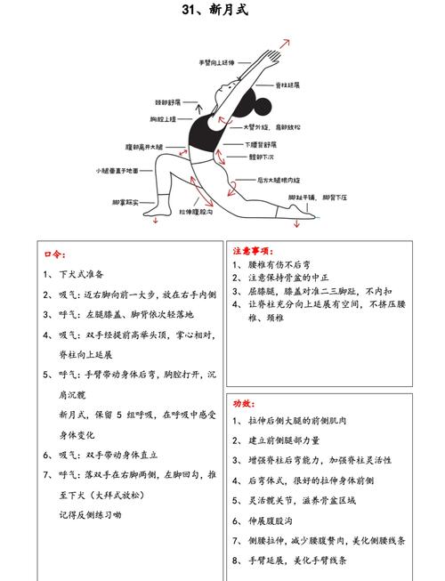 健身房的瑜伽新版本:趋势与技术的深度分析
