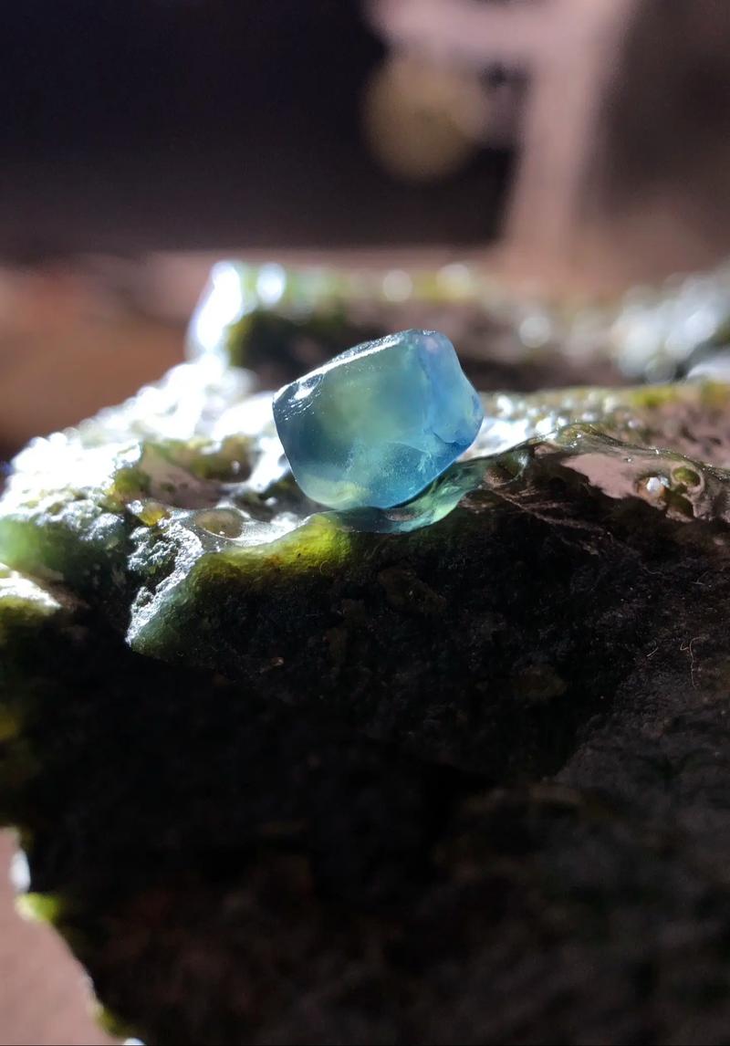 深度解析《蓝宝石野生动物园》游戏下载的市场趋势与用户体验