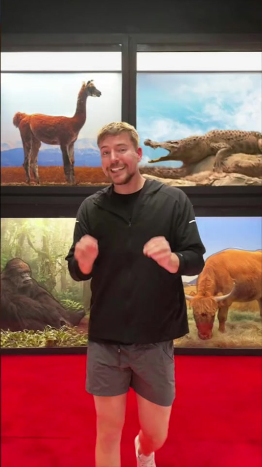 阳光下的野兽最新版本查询与更新详细教程