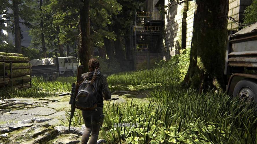 最后的生还者2更新地址：游戏体验与技术分析
