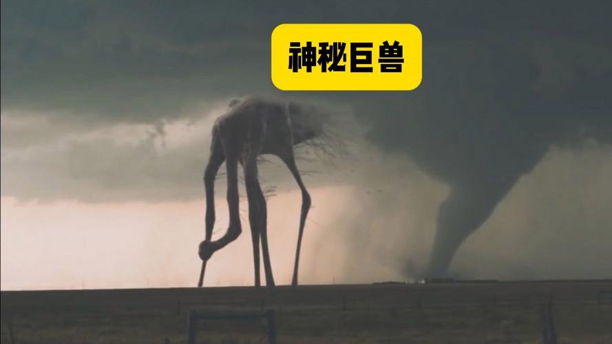 探讨捕获未知生物官方网站的潜力与机遇