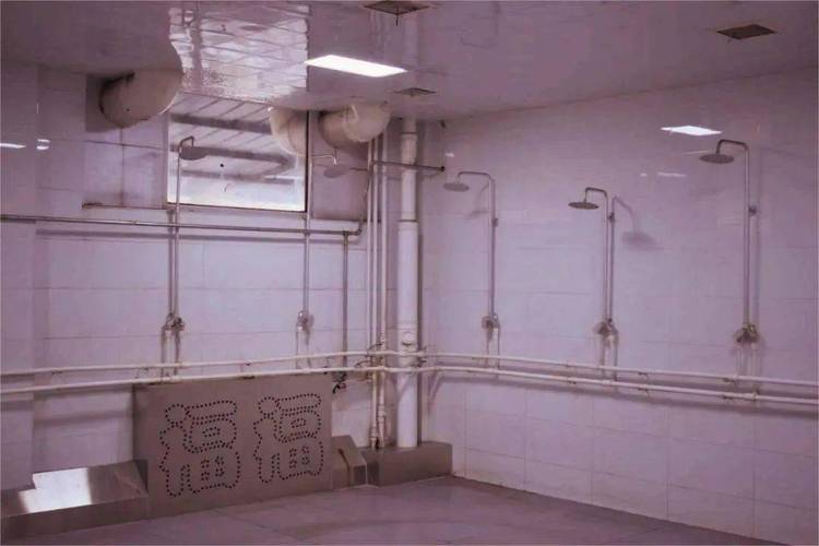 探索乡下的公共澡堂：一款游戏的深度分析