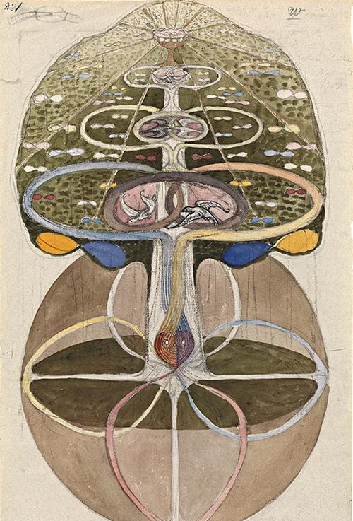 深入分析《好色的维克多》：游戏机制与用户体验的探讨