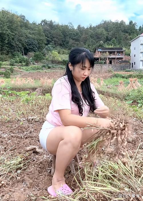 探索无知少女的乡村韵事官网：深度分析与游戏内涵