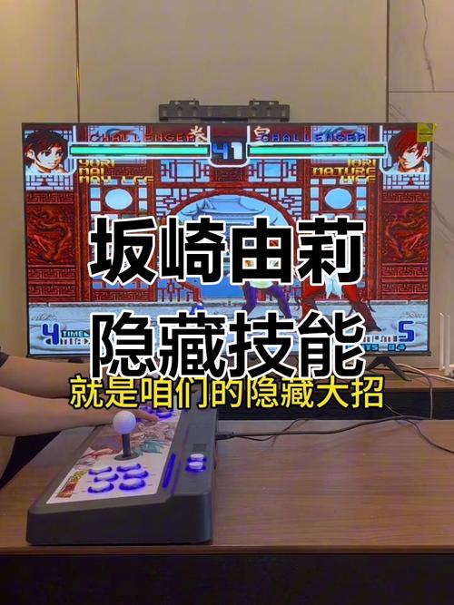 格斗少女由利游戏攻略：新手必备的全面教程