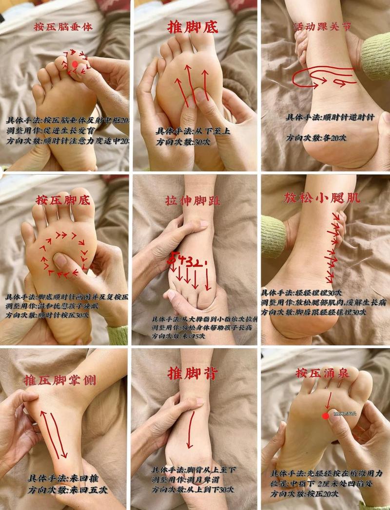 如何获取《脚下的正常生活》最新版本：完整实用教程