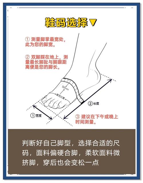 如何获取《脚下的正常生活》最新版本:完整实用教程
