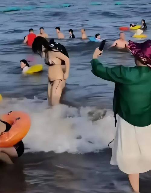 超爆茹搭讪沙滩官方网站：绅士游戏领域的潜力分析