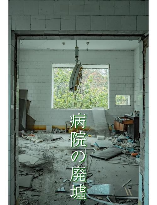 废弃医院的恐怖安卓汉化：深度解析与玩家心理探究