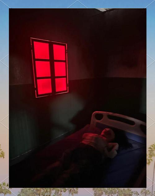 废弃医院的恐怖安卓汉化：深度解析与玩家心理探究