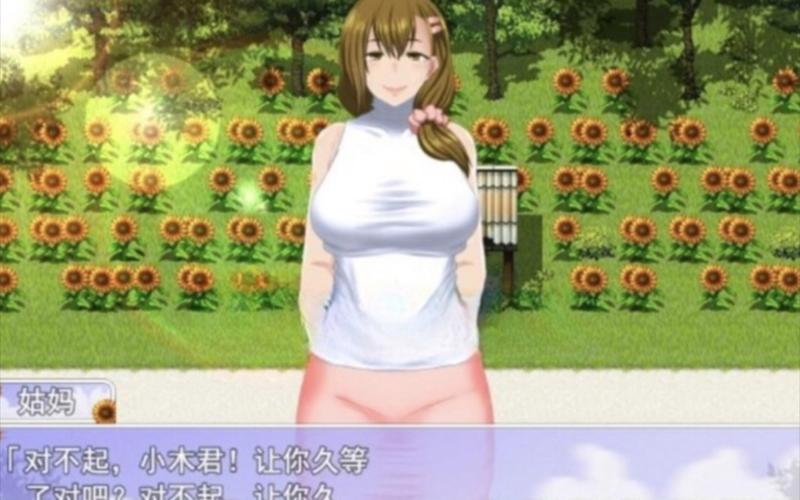 我暑假的秘密回忆游戏介绍：新手操作指南