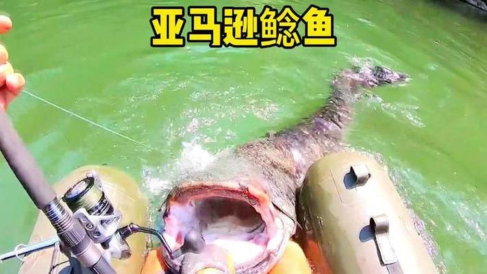 亚马逊鲶鱼汉化版下载详细教程