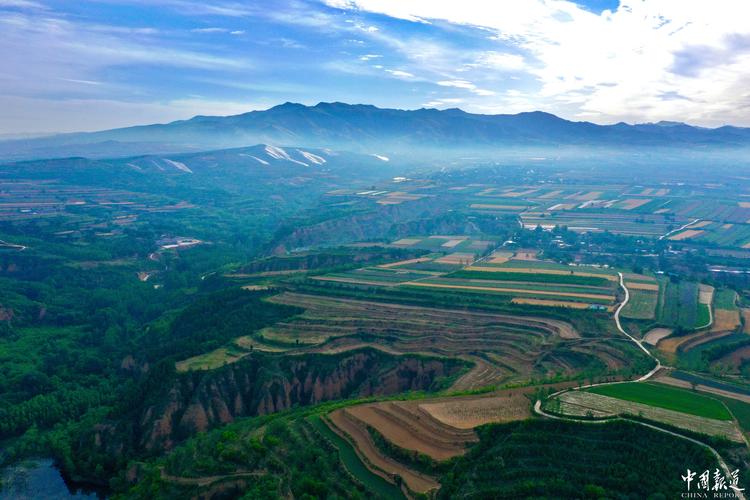 深入分析：小绿山官方正式版下载最新版的魅力与前景
