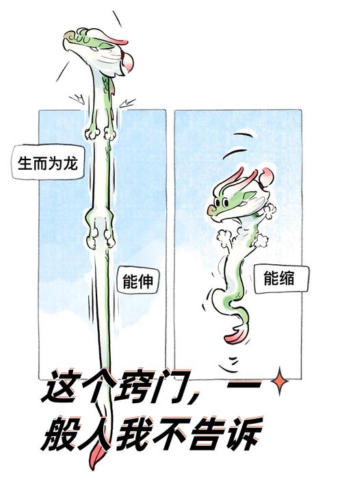 如何高效使用龙傲天的多元宇宙官网：详细教程