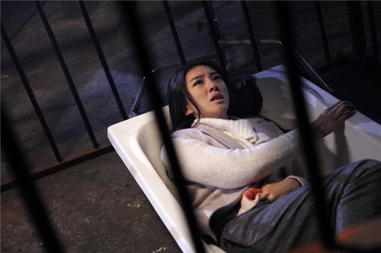 探秘《我的女王老婆》：安卓平台的魅力与潜力分析