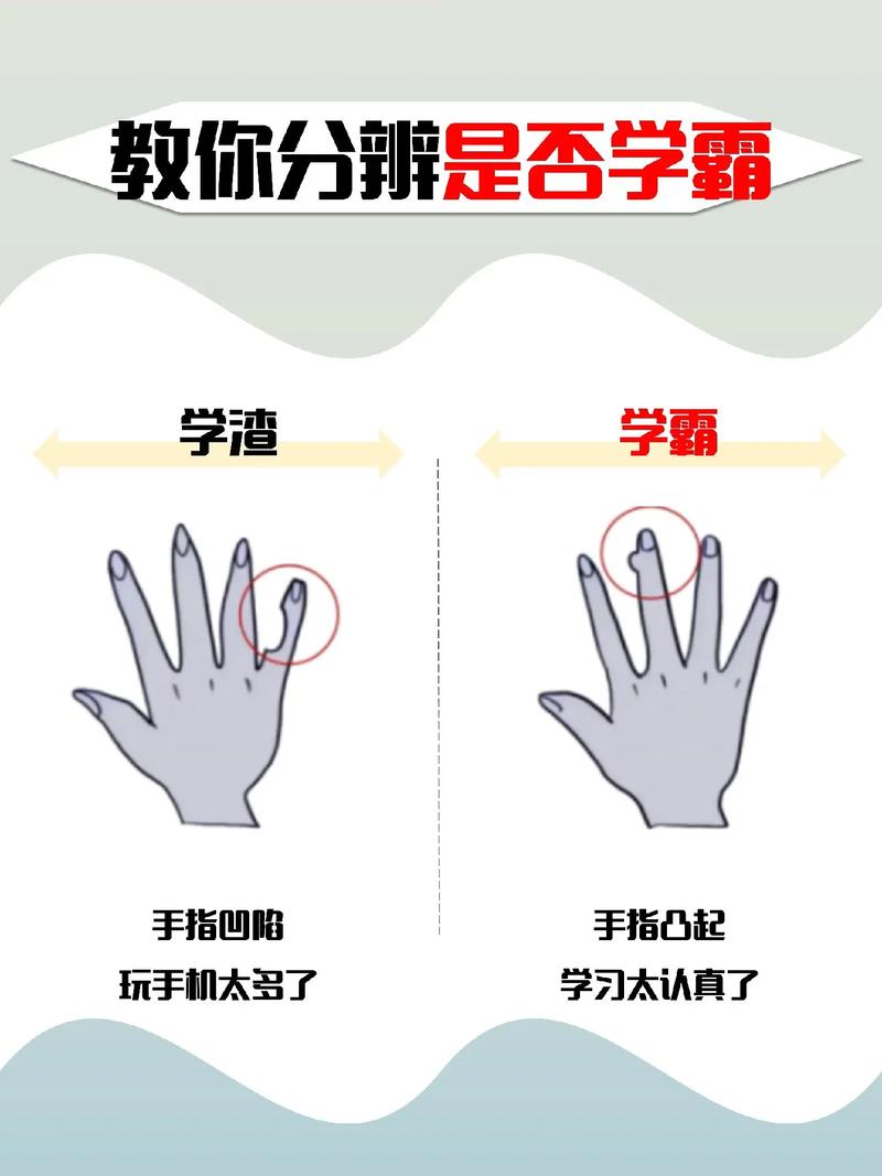 深入探讨女学生鉴别学官方网站的专业价值与应用前景