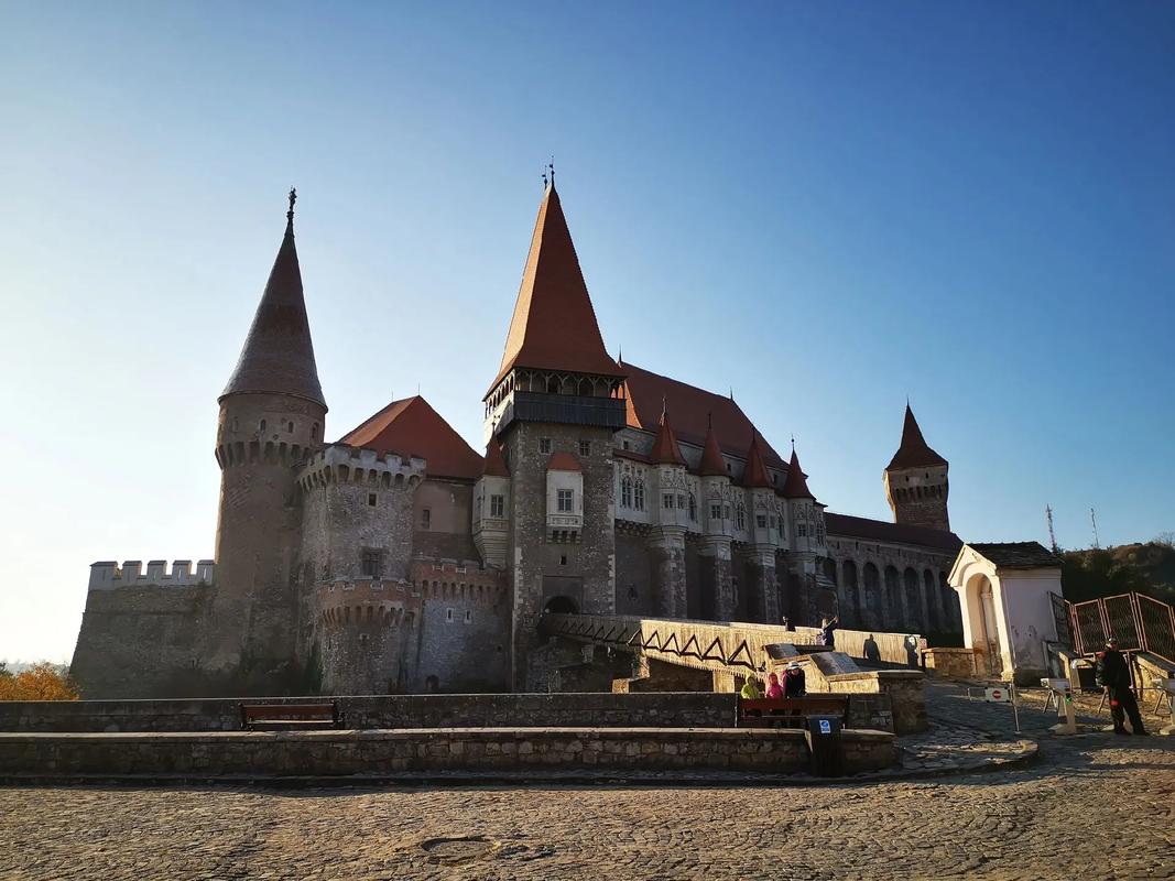 深入解析瓦尼亚的城堡官方网站的魅力与潜力