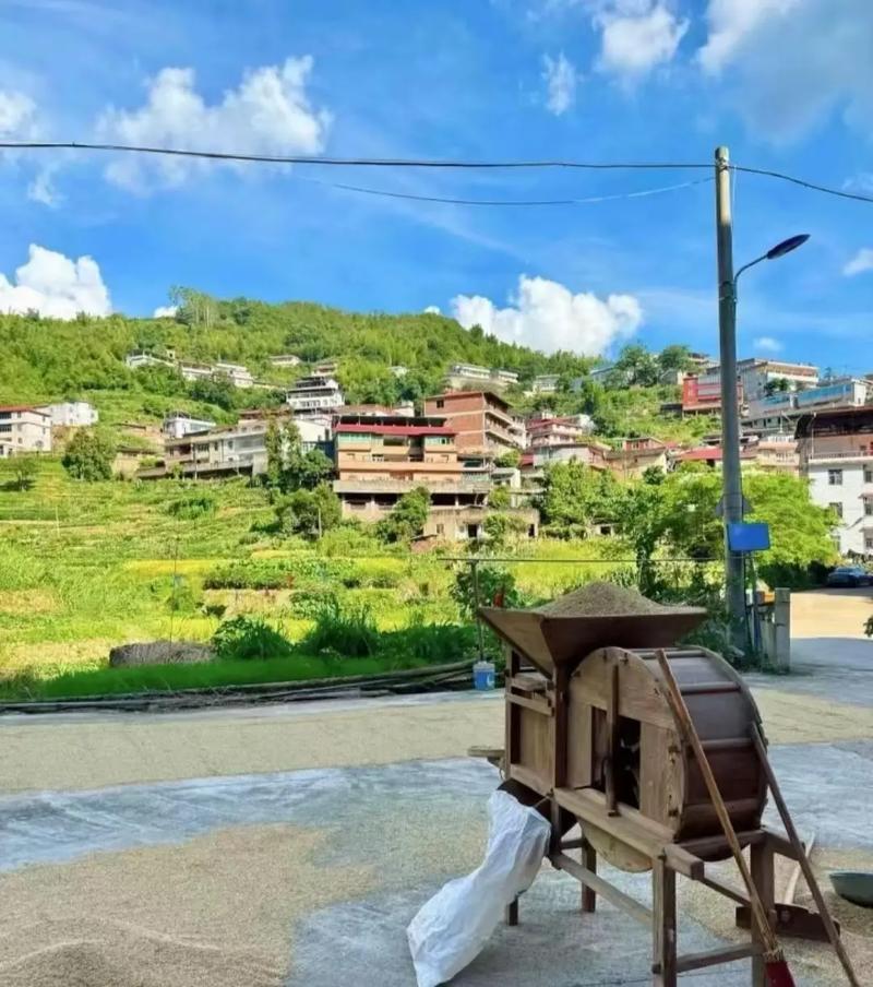 探索“我的乡村生活安卓汉化”的魅力与挑战