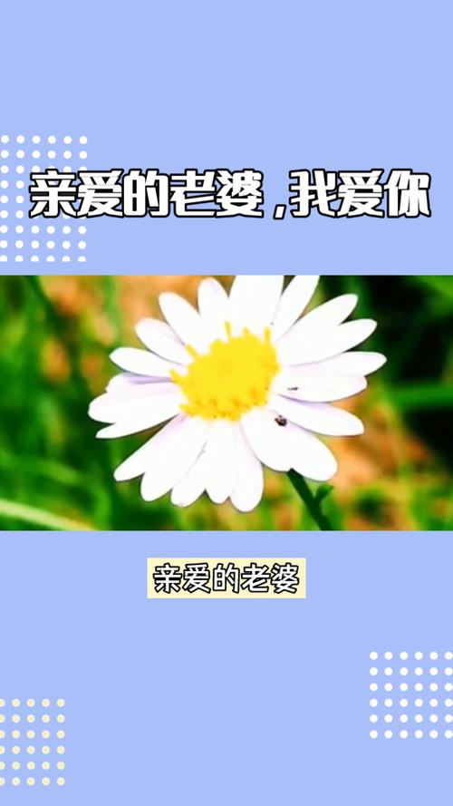 我爱你的妻子版本大全：新手指南与操作教程