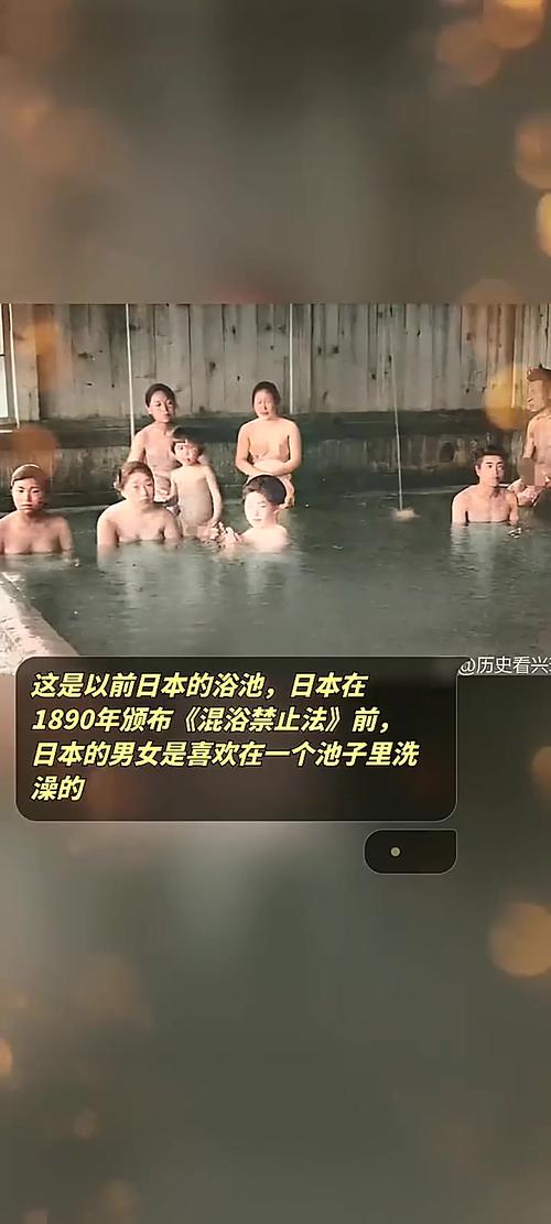在乡下的公共澡堂汉化版下载的深度解析与用户体验分析