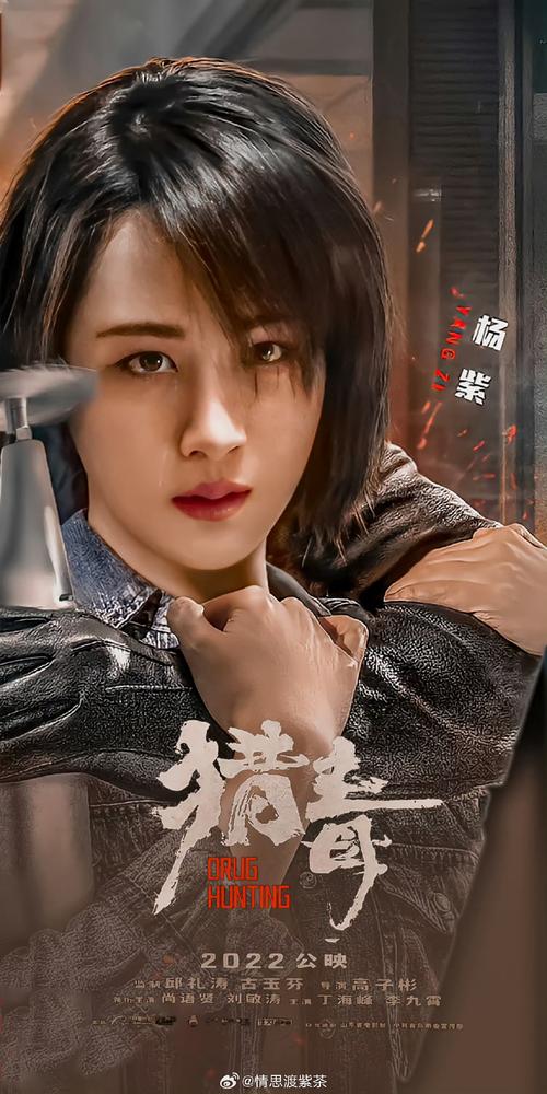 深入解析《女忍花梨安卓》:绅士游戏的艺术与技术结合